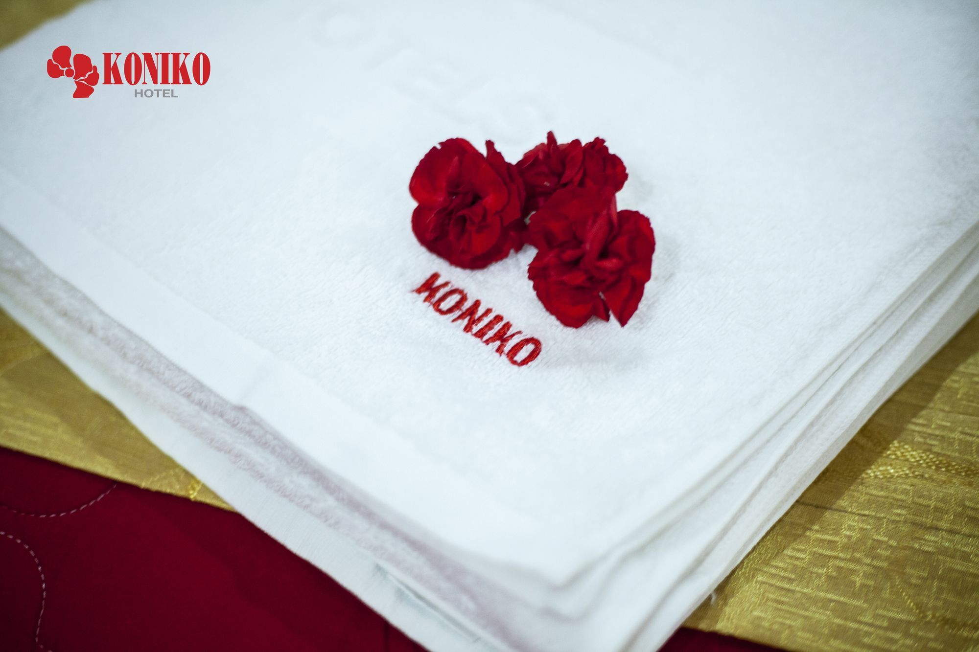 Koniko Hotel Bandar Ho Chi Minh Luaran gambar